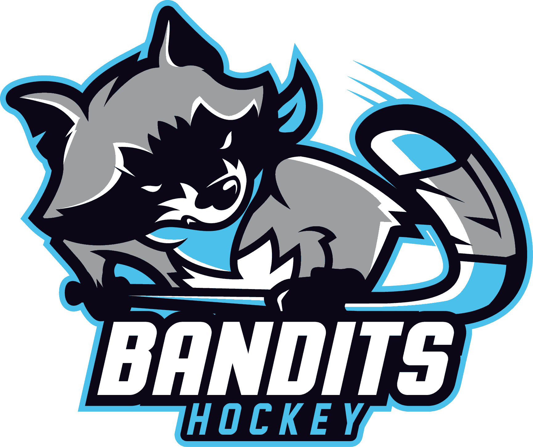 HPL Hockey Program Directory Of Teams hpl-hockey-program-directory-of-teams